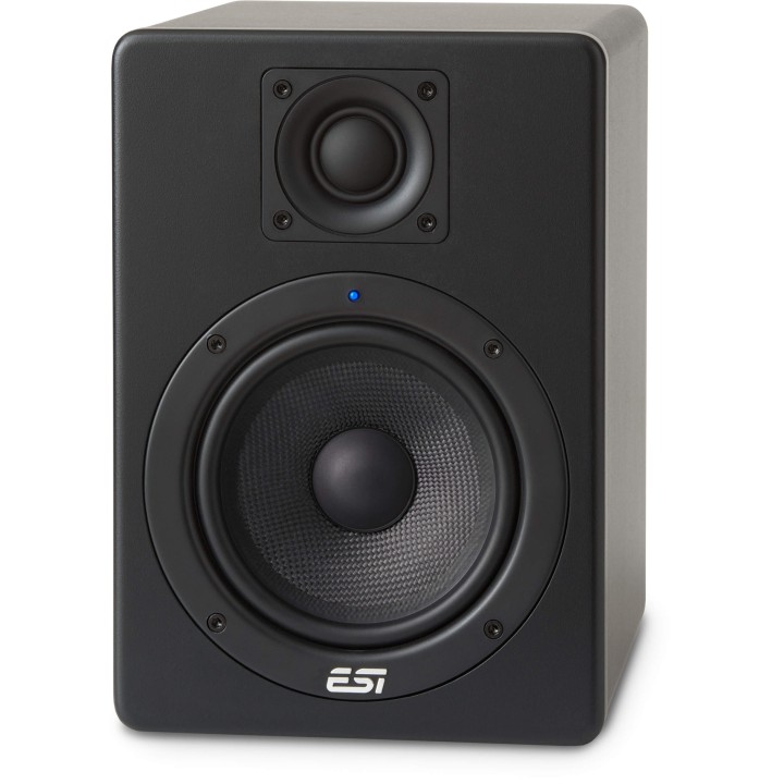 Esi Aktiv 05 Monitor Nearfield