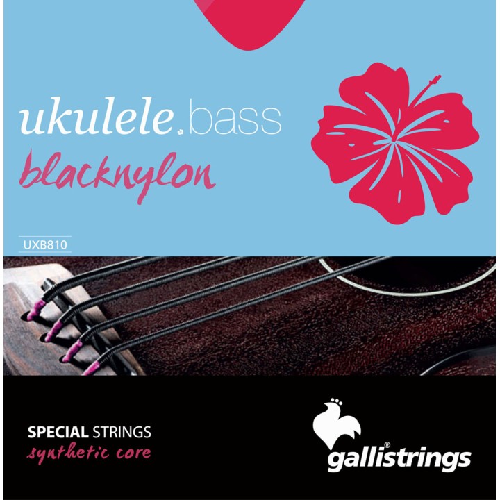 Acquista GALLI STRINGS UXB810 online | Merula Strumenti Musicali