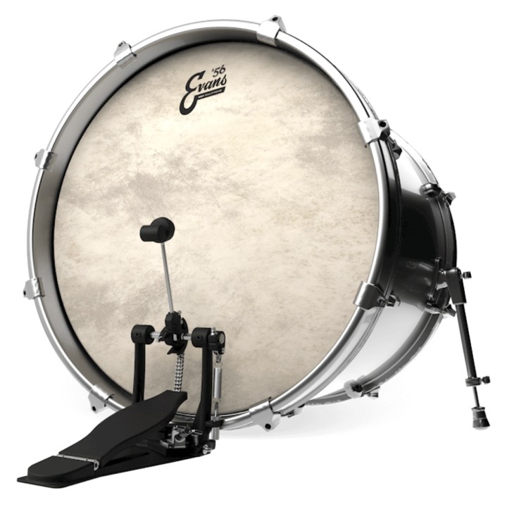 Acquista EVANS EQ4 CALFTONE - BASS DRUM HEAD 22 INCH online | Merula Strumenti Musicali