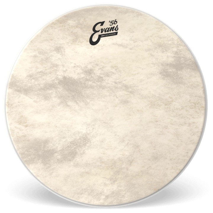 Acquista EVANS EQ4 CALFTONE - BASS DRUM HEAD 20 online | Merula Strumenti Musicali