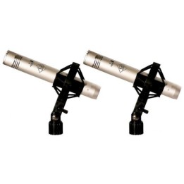 Acquista GOLDEN AGE FC 4 ST online | Merula Strumenti Musicali
