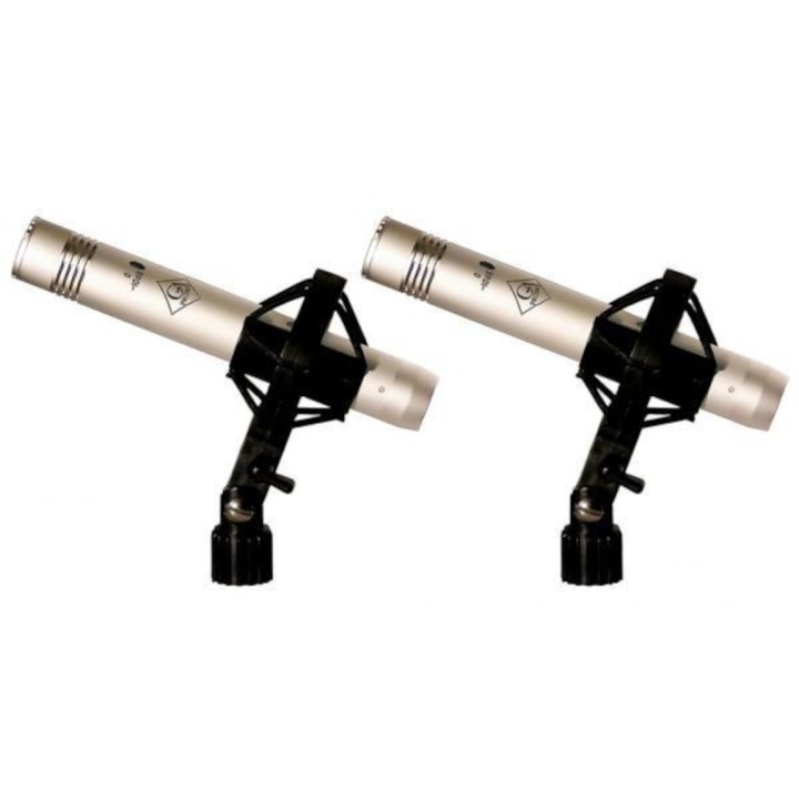 Acquista GOLDEN AGE FC 4 ST online | Merula Strumenti Musicali