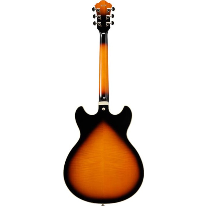 Acquista IBANEZ As113bs online | Merula Strumenti Musicali