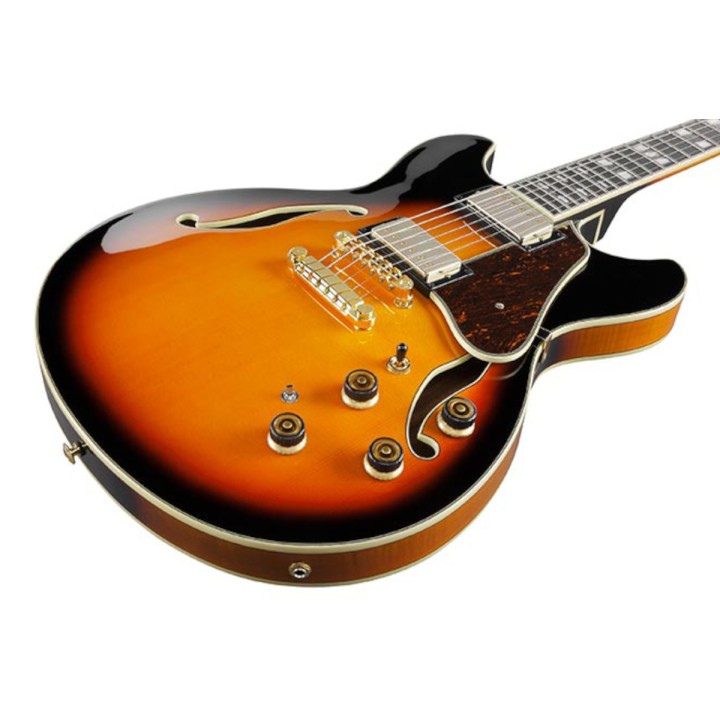 Acquista IBANEZ As113bs online | Merula Strumenti Musicali