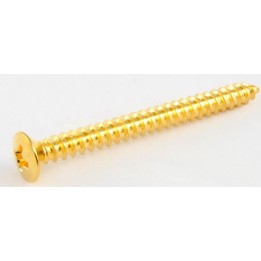 Acquista ALL PARTS GS-0005-002 CONFEZIONE DI 4 VITI DORATE PER PIASTRA DA MANICO online | Merula Strumenti Musicali