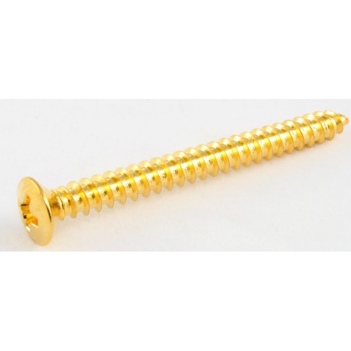 Acquista ALL PARTS GS-0005-002 CONFEZIONE DI 4 VITI DORATE PER PIASTRA DA MANICO online | Merula Strumenti Musicali