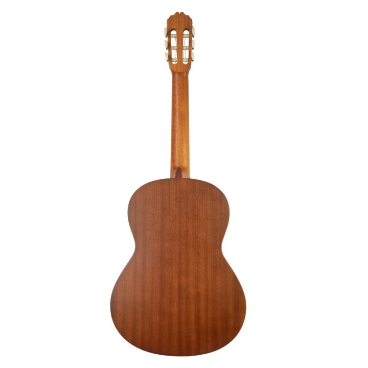 Acquista JOSE TORRES JTC-5S WINE RED online | Merula Strumenti Musicali