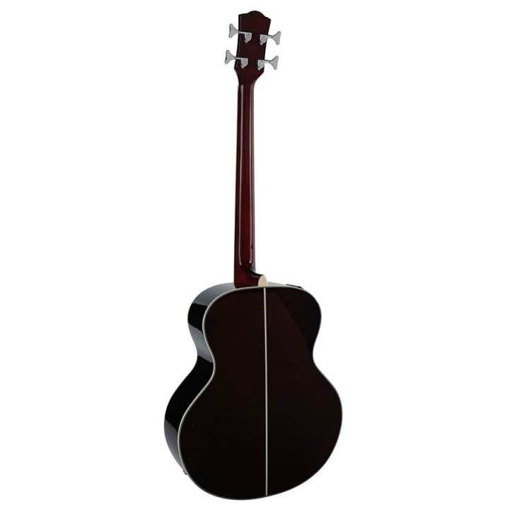 RICHWOOD RB-60-E | Merula Strumenti Musicali