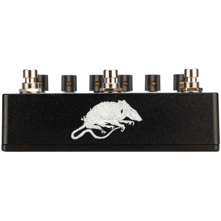 EARTHQUAKER LIFE PEDAL V3 | Merula Strumenti Musicali