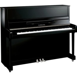 YAMAHA - B3 ESC3 PEC | Merula Strumenti Musicali
