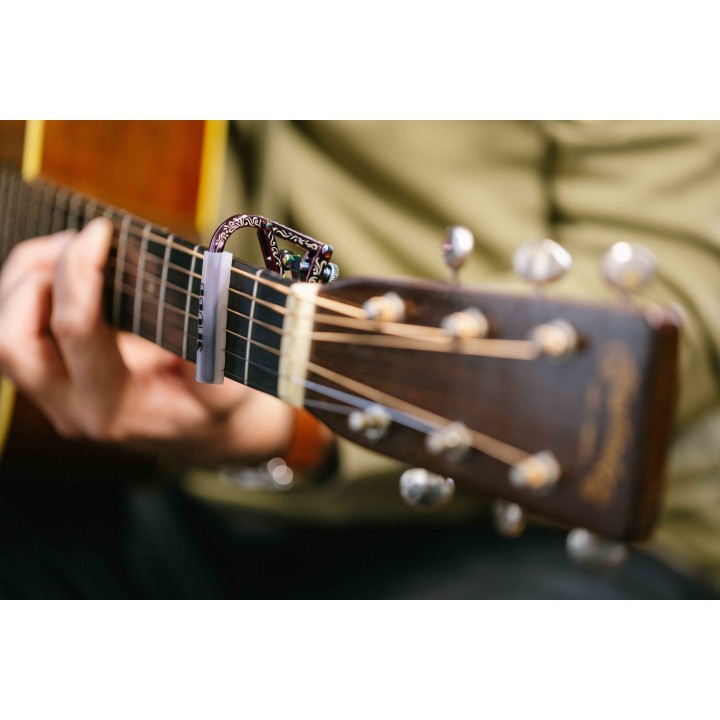 Acquista SHUBB C1VS ANNIVERSARY CAPO VIOLET online | Merula Strumenti Musicali