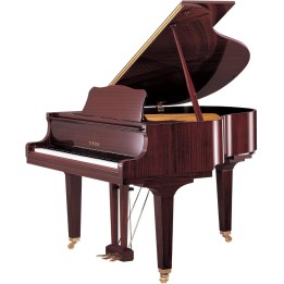 YAMAHA - C1X PM | Merula Strumenti Musicali
