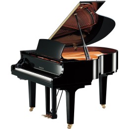 YAMAHA - C1X SH3 PE | Merula Strumenti Musicali