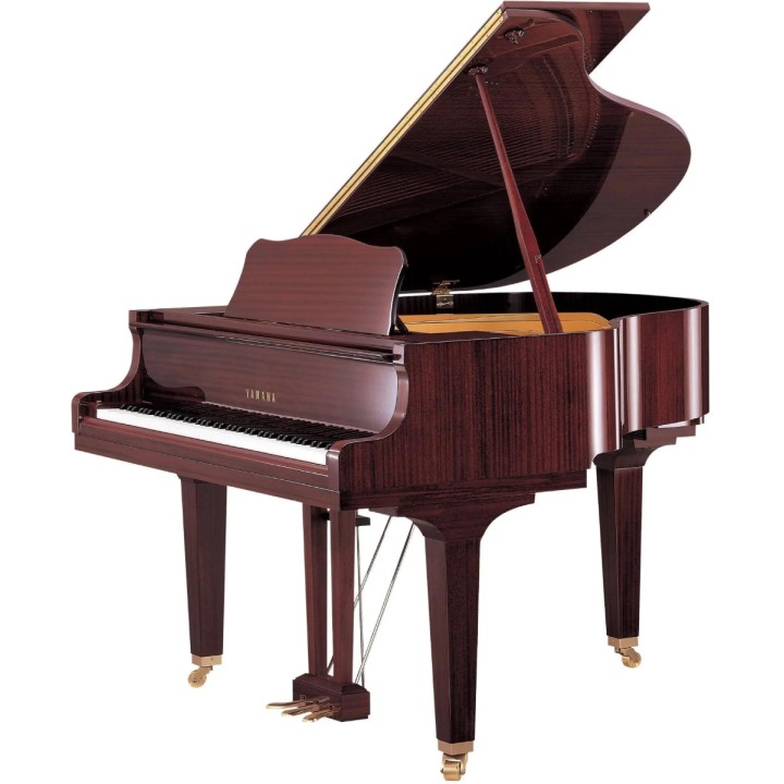 YAMAHA - C2X PM | Merula Strumenti Musicali