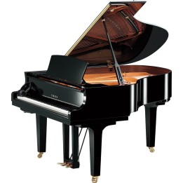 YAMAHA - C2X SH3 PE | Merula Strumenti Musicali