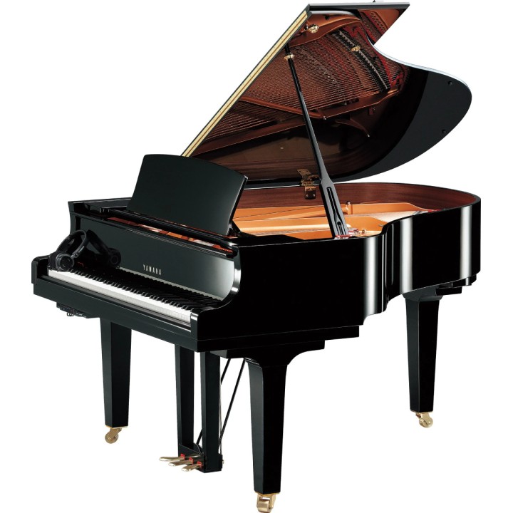 YAMAHA - C2X SH3 PE | Merula Strumenti Musicali