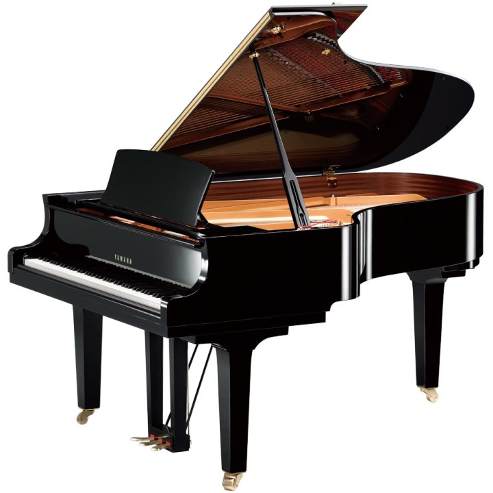 YAMAHA - C5X PE | Merula Strumenti Musicali