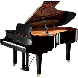 YAMAHA - C6X PE | Merula Strumenti Musicali