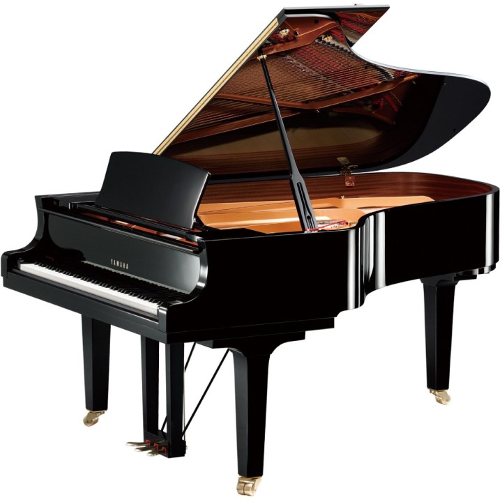 YAMAHA - C6X PE | Merula Strumenti Musicali