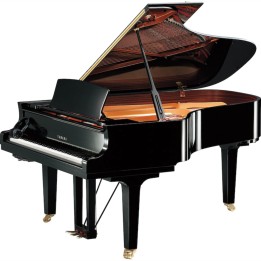 YAMAHA - C6X SH3 PE | Merula Strumenti Musicali