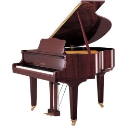 YAMAHA - GB1K SC3 PM | Merula Strumenti Musicali