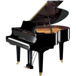 YAMAHA - GC1 TA3 PE | Merula Strumenti Musicali
