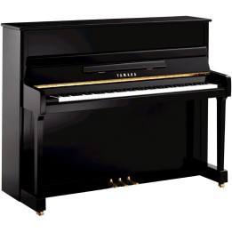 YAMAHA - P116M PE | Merula Strumenti Musicali