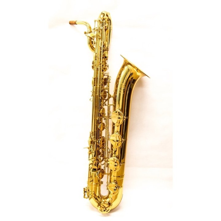 RIPAMONTI | 5050 MASTER