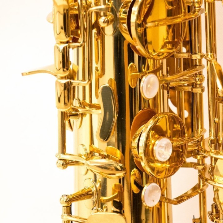 RIPAMONTI | 5050 MASTER