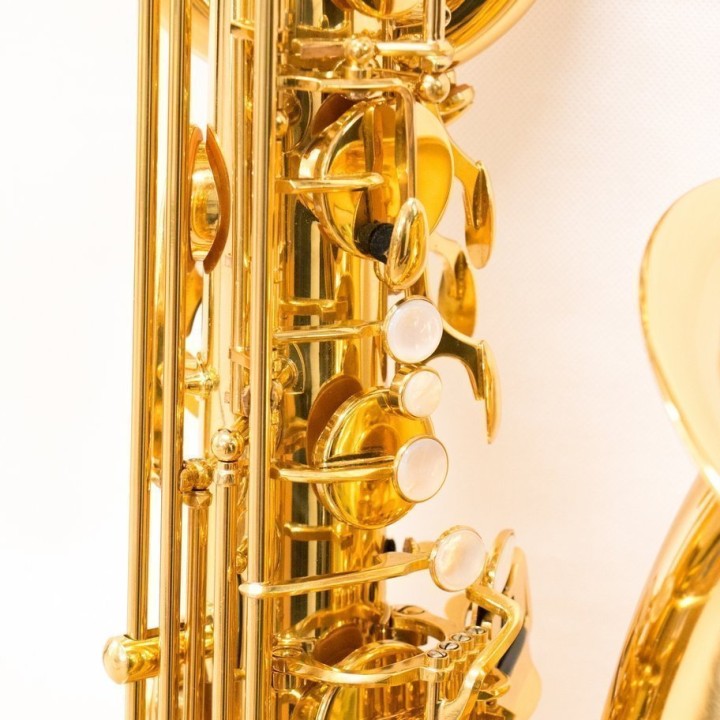 RIPAMONTI | 5050 MASTER