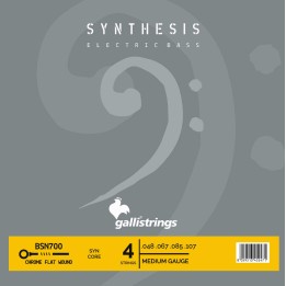 Acquista GALLI STRINGS STRINGS GA BSN700 online | Merula Strumenti Musicali