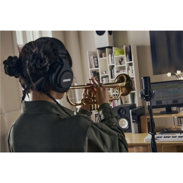 microfono a condensatore per gli Home e Project Recording Studio, dotato di un pattern di ripresa cardioide