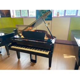 Acquista YAMAHA C3XPE (2014) (USATO) online | Merula Strumenti Musicali