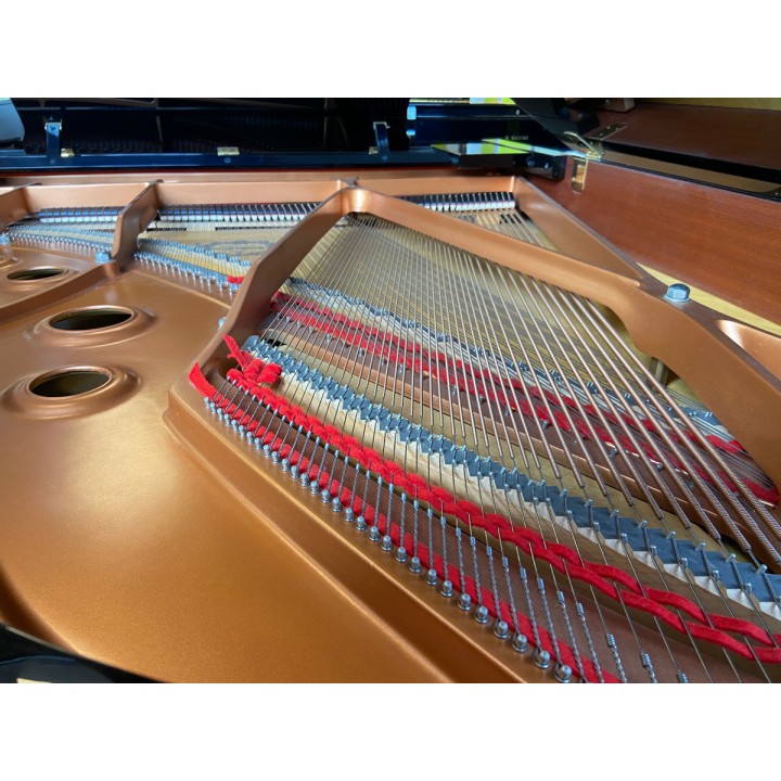 Acquista YAMAHA C3XPE (2014) (USATO) online | Merula Strumenti Musicali