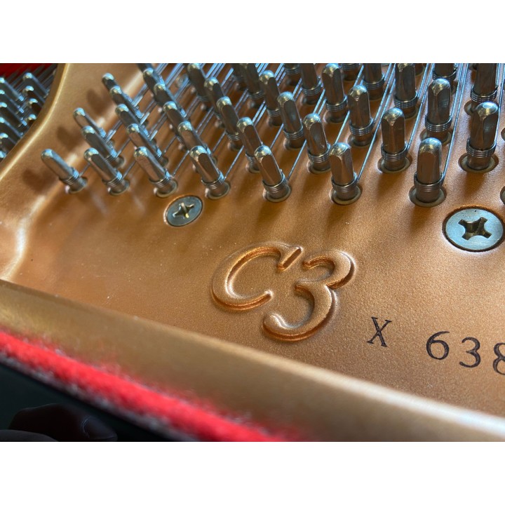 Acquista YAMAHA C3XPE (2014) (USATO) online | Merula Strumenti Musicali