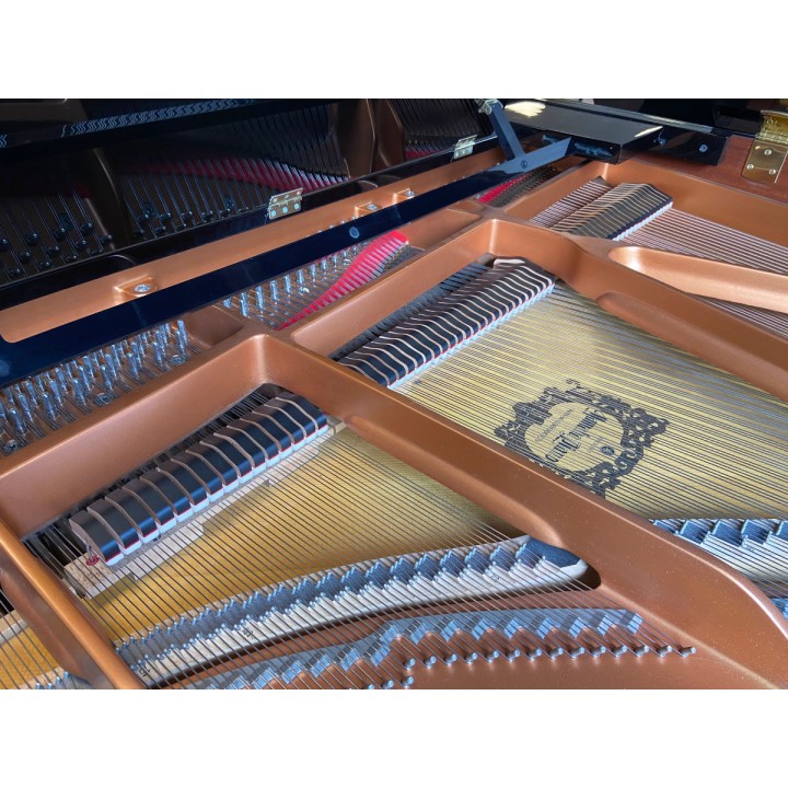Acquista YAMAHA C3XPE (2014) (USATO) online | Merula Strumenti Musicali