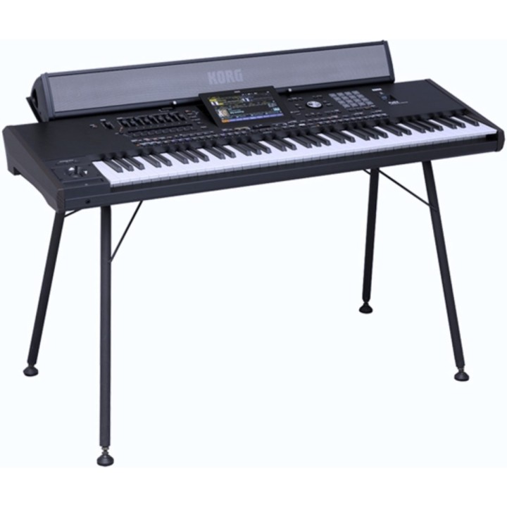KORG - PAAS MK2, Diffusore per Arranger Pa5X. Merula