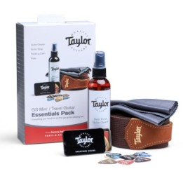 TAYLOR 1320 GS MINI TRAVELLER ESSENTIALS PACK | Merula Strumenti Musicali