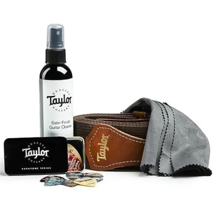 TAYLOR 1320 GS MINI TRAVELLER ESSENTIALS PACK | Merula Strumenti Musicali