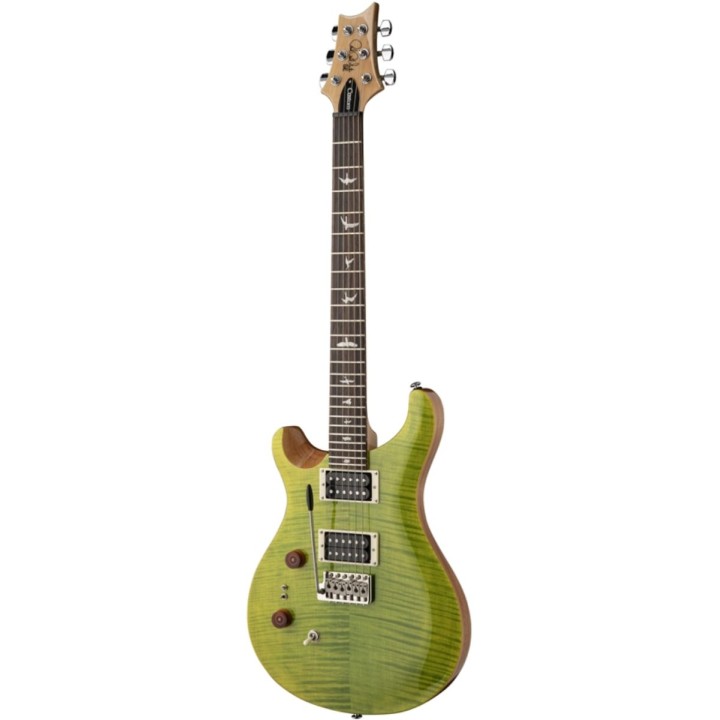 PRS - SE Custom 24-08 Lefty Eriza Verde, Chitarra elettrica, Merula