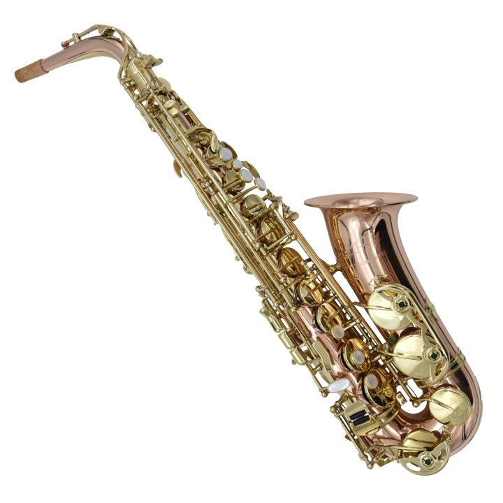 Acquista RIPAMONTI 5030VFRR-SS SASSOFONO ALTO MIB online | Merula Strumenti Musicali