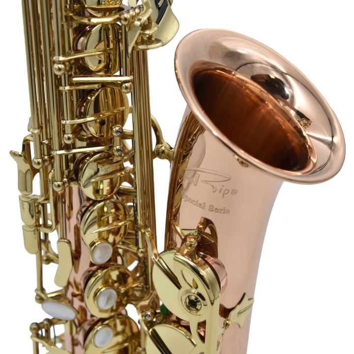 Acquista RIPAMONTI 5030VFRR-SS SASSOFONO ALTO MIB online | Merula Strumenti Musicali