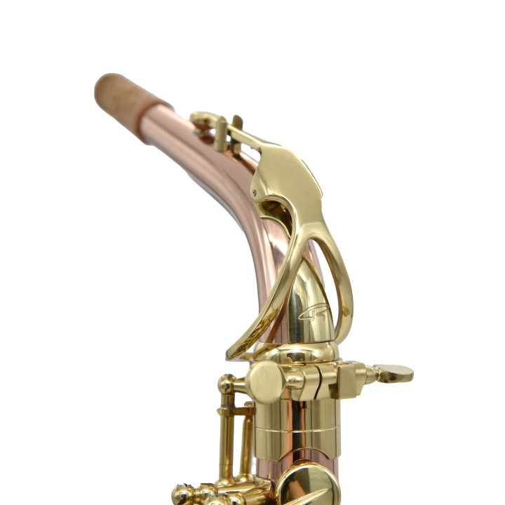 Acquista RIPAMONTI 5030VFRR-SS SASSOFONO ALTO MIB online | Merula Strumenti Musicali