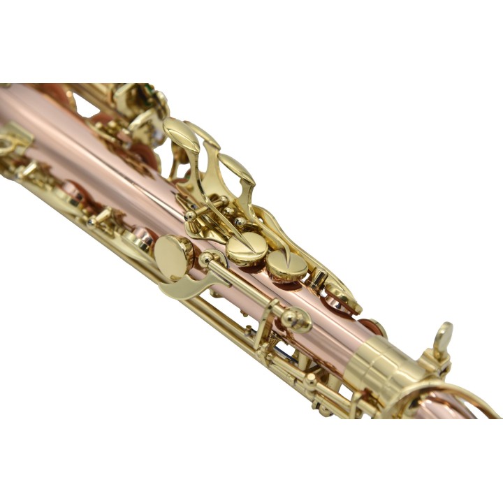 Acquista RIPAMONTI 5030VFRR-SS SASSOFONO ALTO MIB online | Merula Strumenti Musicali