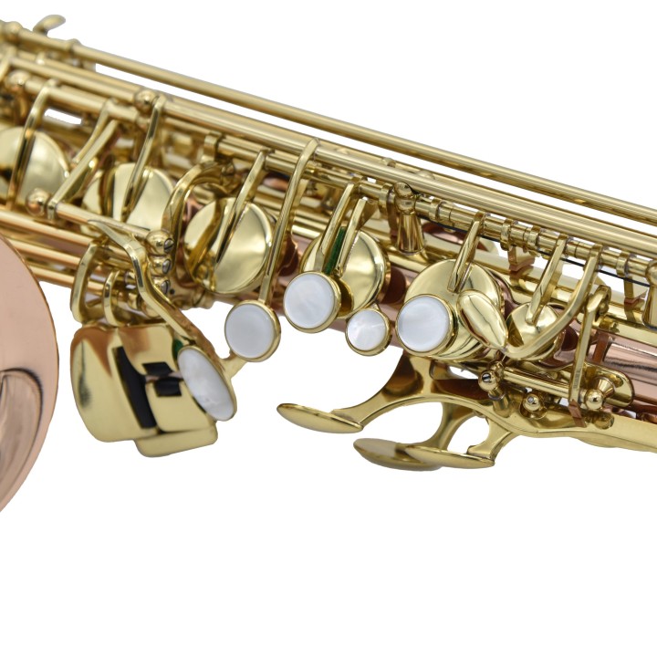 Acquista RIPAMONTI 5030VFRR-SS SASSOFONO ALTO MIB online | Merula Strumenti Musicali