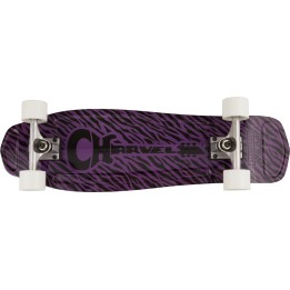 skateboard Charvel
