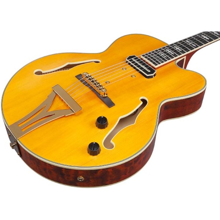 IBANEZ - PM3C NAL | Merula Strumenti Musicali