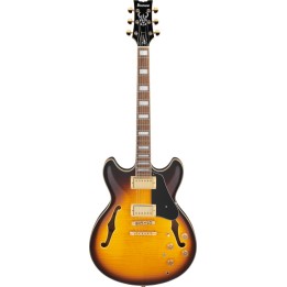 Ibanez - JSM10EM-TTB, Chitarra elettrica semiacustica