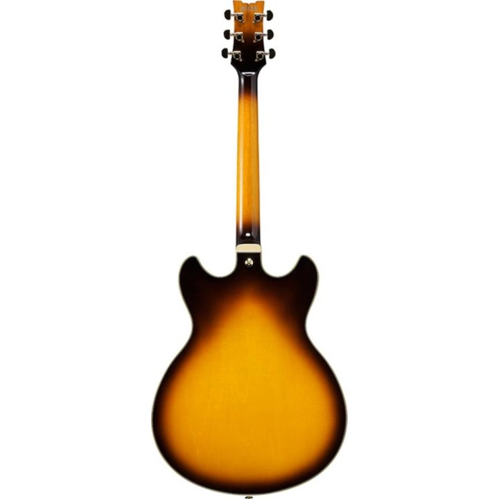 Ibanez - JSM10EM-TTB, Chitarra elettrica semiacustica