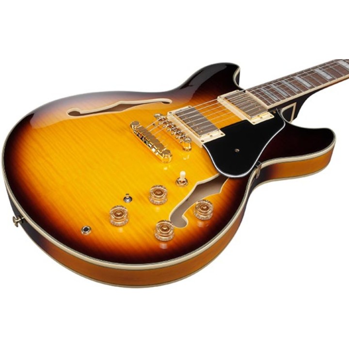 Ibanez - JSM10EM-TTB, Chitarra elettrica semiacustica